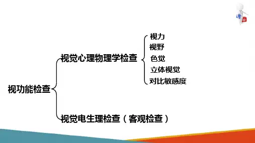 眼科常用检查—视功能检查