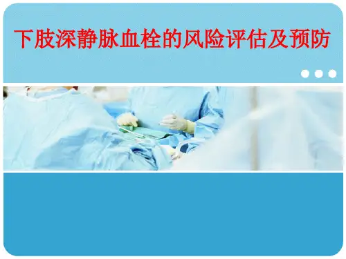 下肢深静脉血栓风险评估与预防