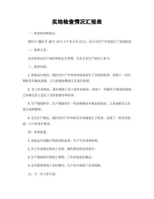 实地检查情况汇报表
