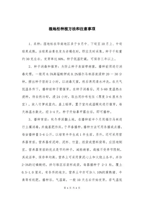 湿地松种植方法和注意事项