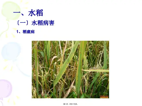 农作物病虫害图解