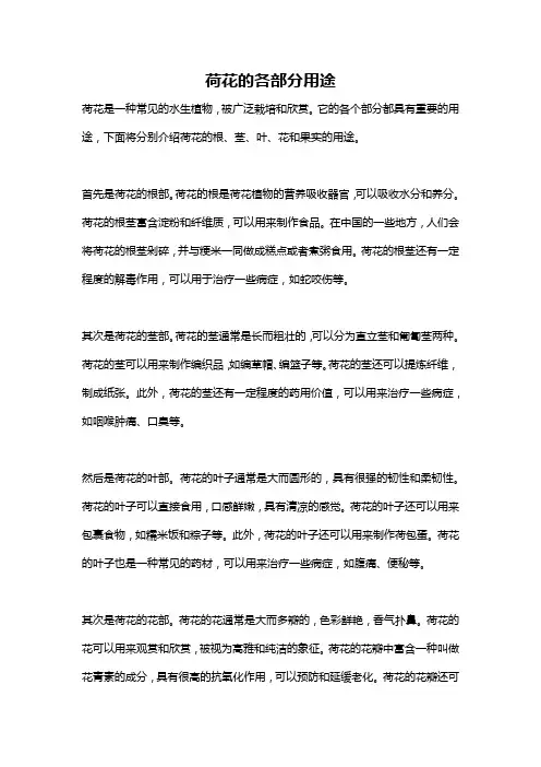 荷花的各部分用途