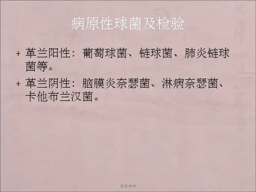 葡萄球菌链球菌