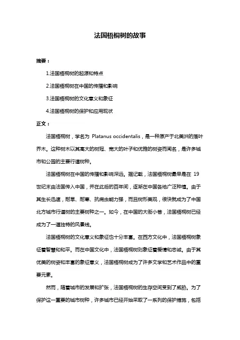 法国梧桐树的故事