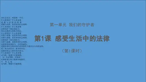 部编版道德与法治《感受生活中的法律》PPT上课用课件1