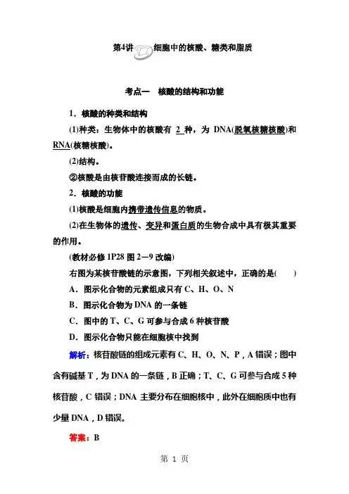 2019人教版高三生物大一轮总复习：第4讲细胞中的核酸、糖类和脂质精品教育.doc
