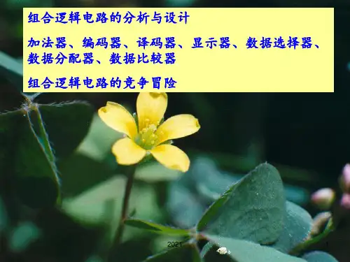 组合逻辑电路的分析与设计加法器、编码器、译码器、显示器、数概要PPT课件
