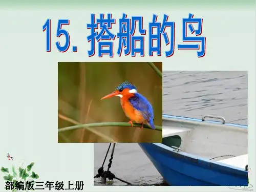 部编版《搭船的鸟》优质课件1