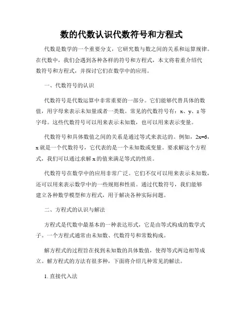 数的代数认识代数符号和方程式