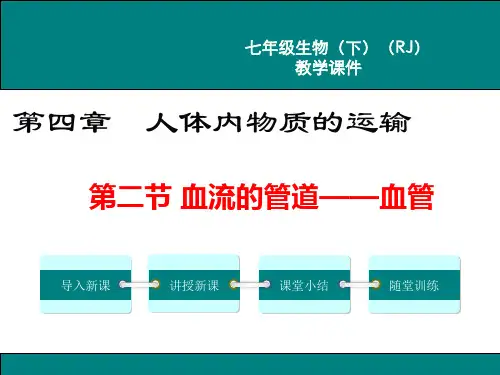 人教版七年级生物下《血流的管道——血管》PPT课件