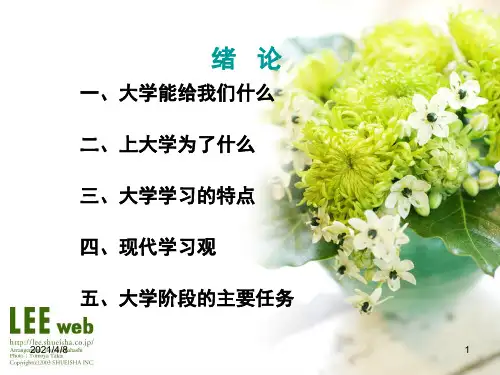课件：第一章职业生涯规划基础知识