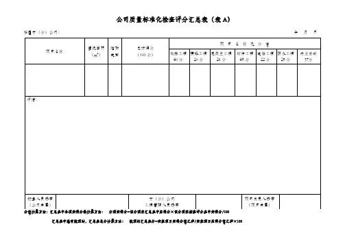 公司质量标准化检查评分表