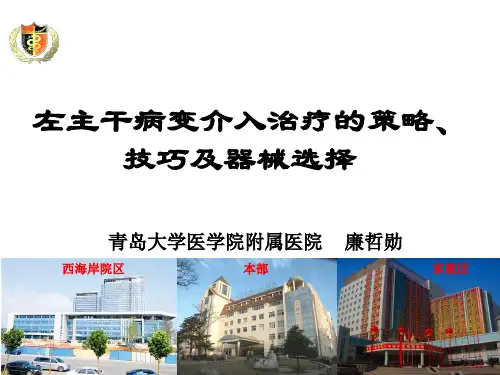 廉哲勋左主干 ppt课件