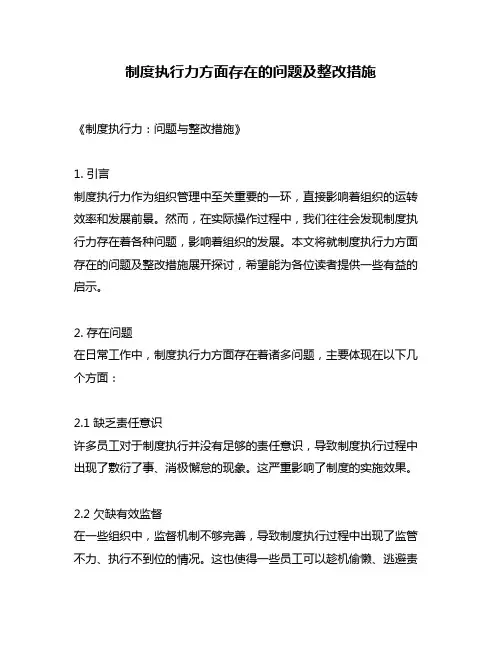 制度执行力方面存在的问题及整改措施