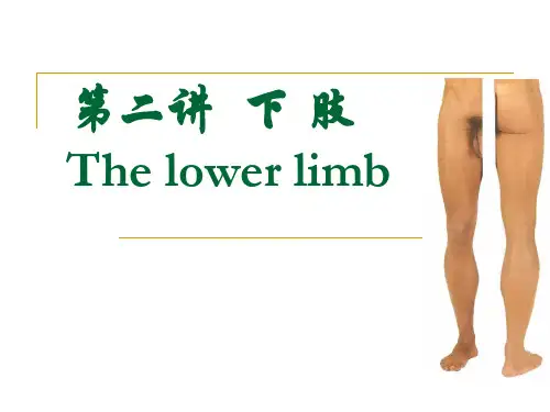 下肢局解案例