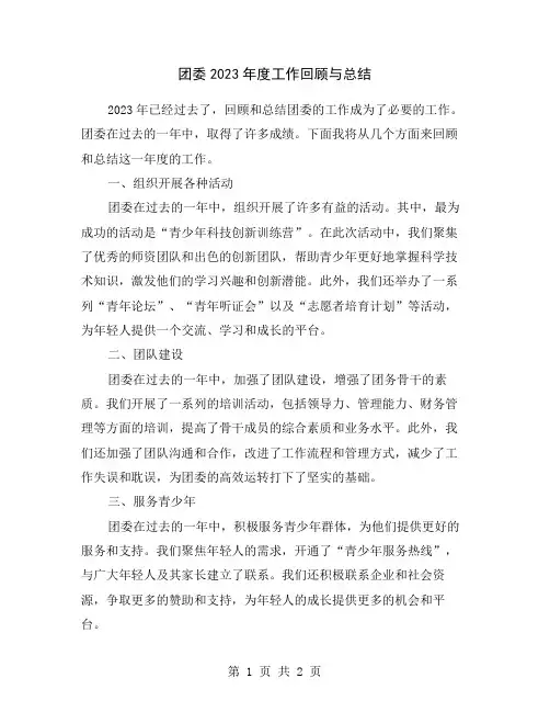 团委2023年度工作回顾与总结