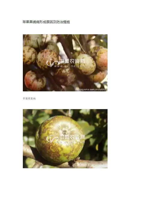 苹果果绣病形成原因及防治措施
