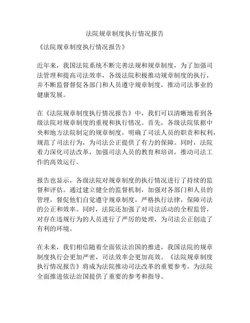 法院规章制度执行情况报告