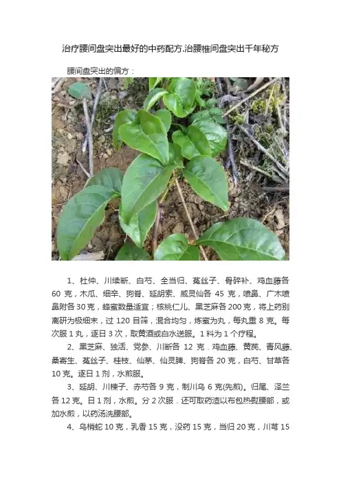 治疗腰间盘突出最好的中药配方.治腰椎间盘突出千年秘方