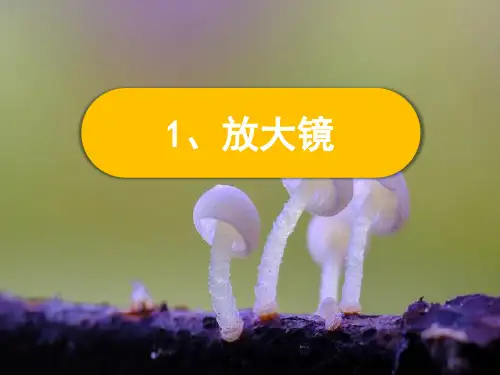 新教科版科学六年级上册1-1 《放大镜》课件PPT