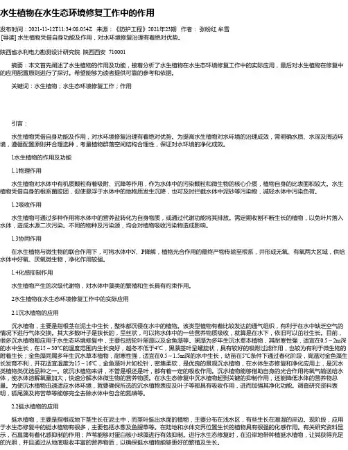 水生植物在水生态环境修复工作中的作用