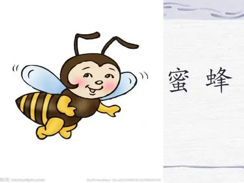 小学二年级人教版下册《蜜蜂引路》