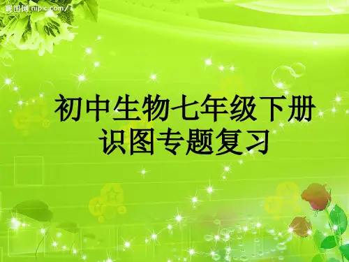 初中生物七年级下册识图专题复习