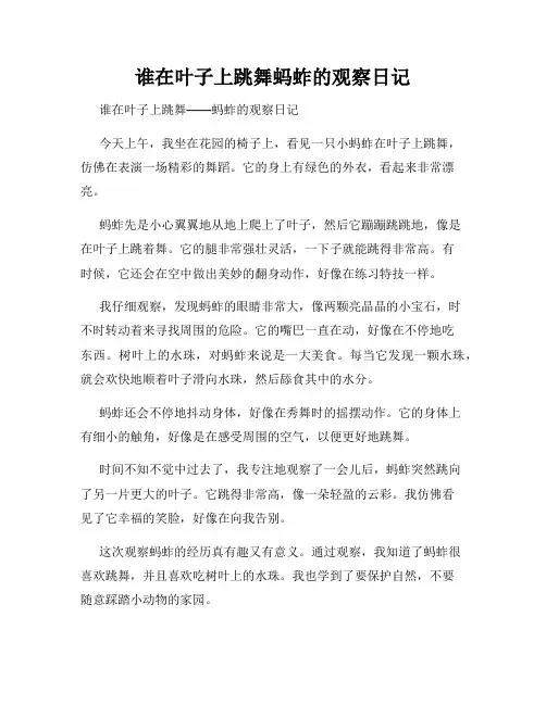 小学三年级作文谁在叶子上跳舞蚂蚱的观察日记