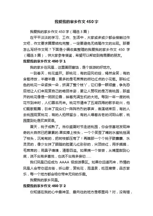 我爱我的家乡作文450字