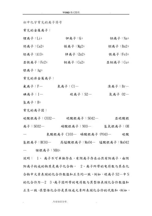 初中化学常见离子符号