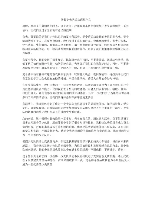 暑假少先队活动感想作文