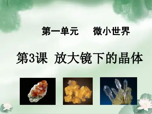 教科六年级科学下册放大镜下的晶体