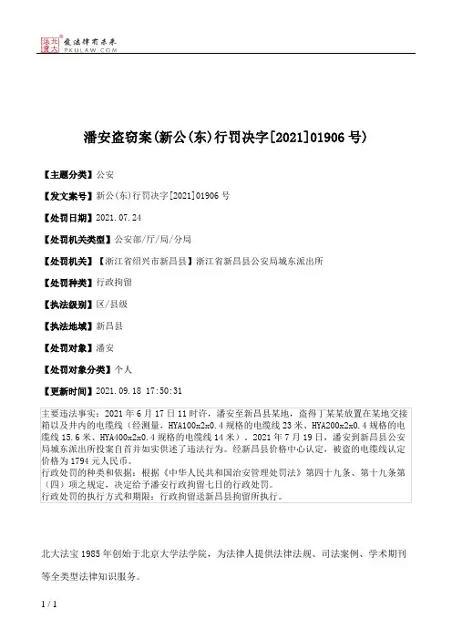潘安盗窃案(新公(东)行罚决字[2021]01906号)