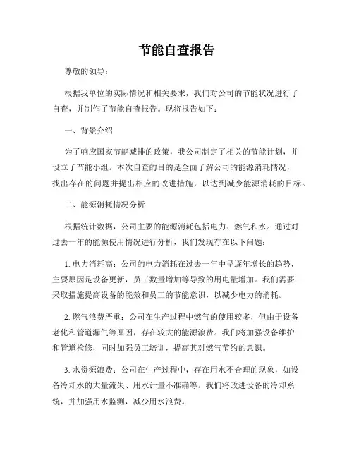 节能自查报告