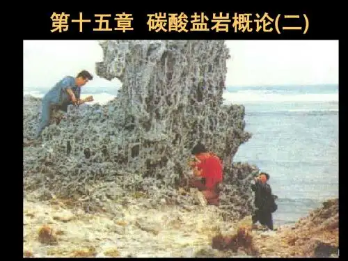 11碳酸盐岩概论2