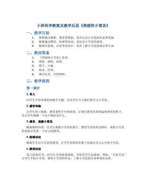 小班科学教案及教学反思《美丽的小雪花》