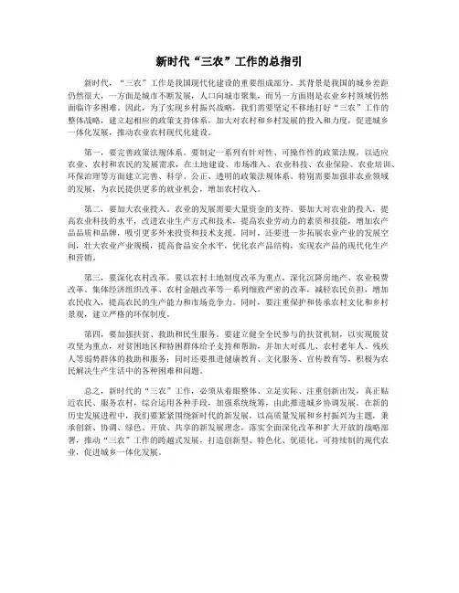 新时代“三农”工作的总指引