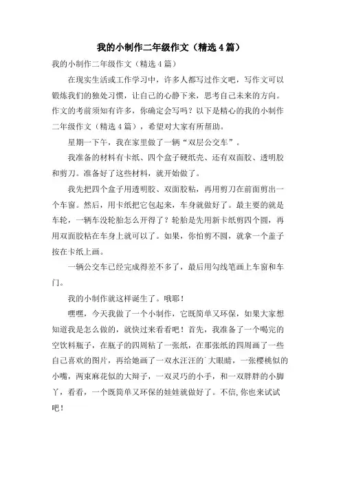 我的小制作二年级作文(4篇)