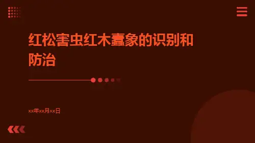 红松害虫红木蠹象的识别和防治