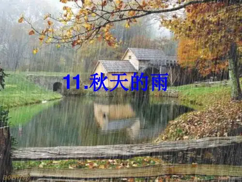 公开课【秋天的雨】第二课时ppt课件