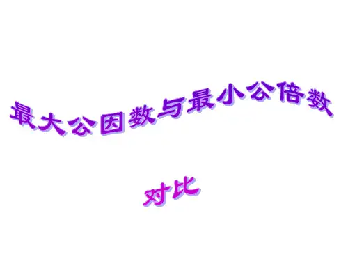 人教版《最大公因数》ppt1