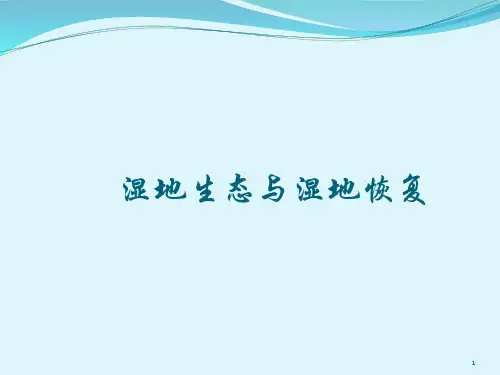 湿地生态与湿地恢复全解