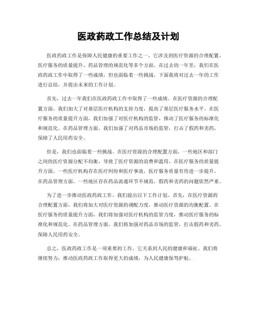 医政药政工作总结及计划