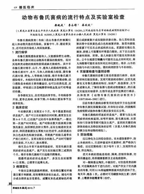 动物布鲁氏菌病的流行特点及实验室检查