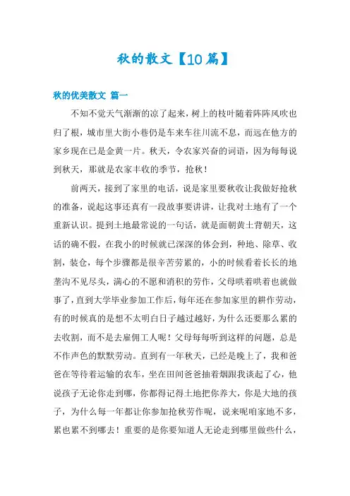 秋的散文【10篇】