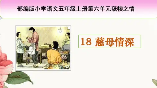 部编版语文五年级上册第18课《慈母情深》课件