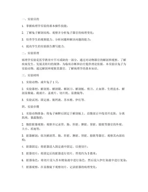 病理学兔子实验实训报告