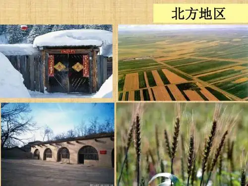 湘教版地理八上《北方地区和南方地区》ppt课件1