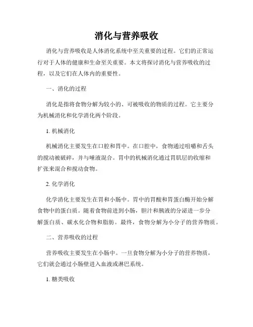 消化与营养吸收