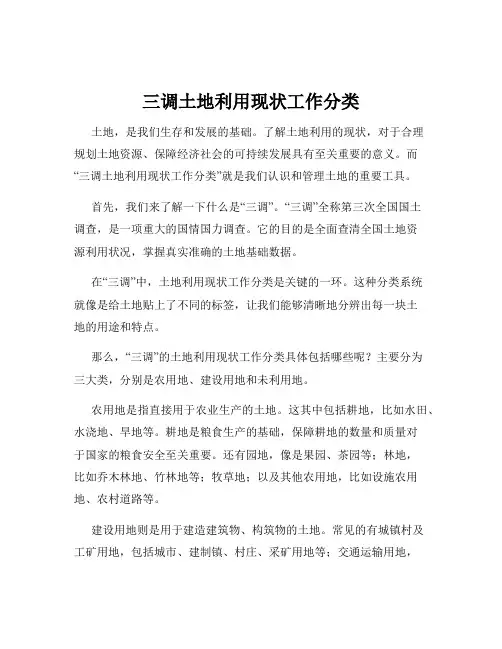 三调土地利用现状工作分类